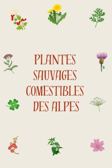 Couverture du livre "Plantes sauvages comestibles des Alpes"