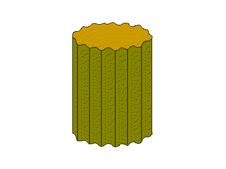 Cannelée (Tige) — illustration
